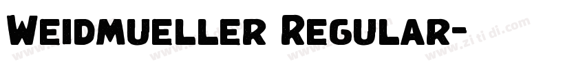 Weidmueller Regular字体转换